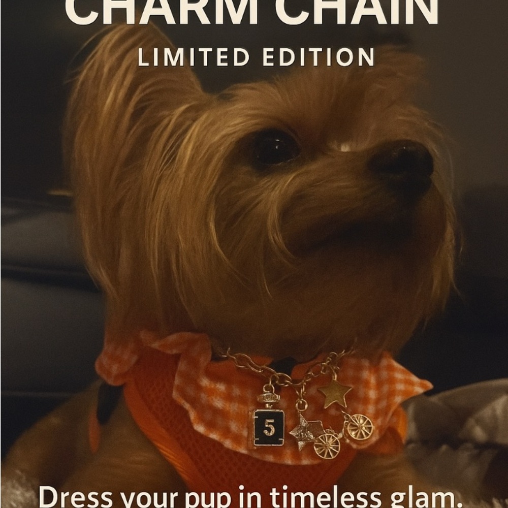 Limited Edition Dog Charm Chain - Orange